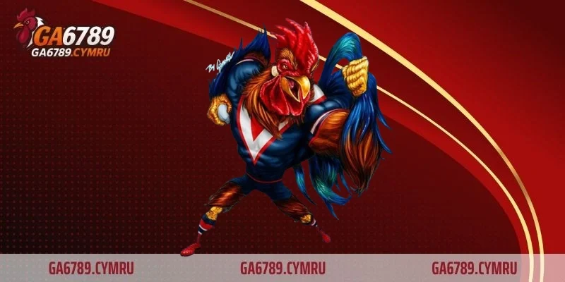 Quản lý vốn cá cược