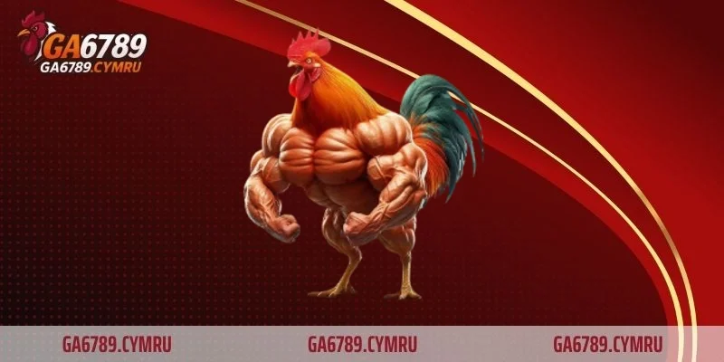 Quy định về thời gian thi đấu